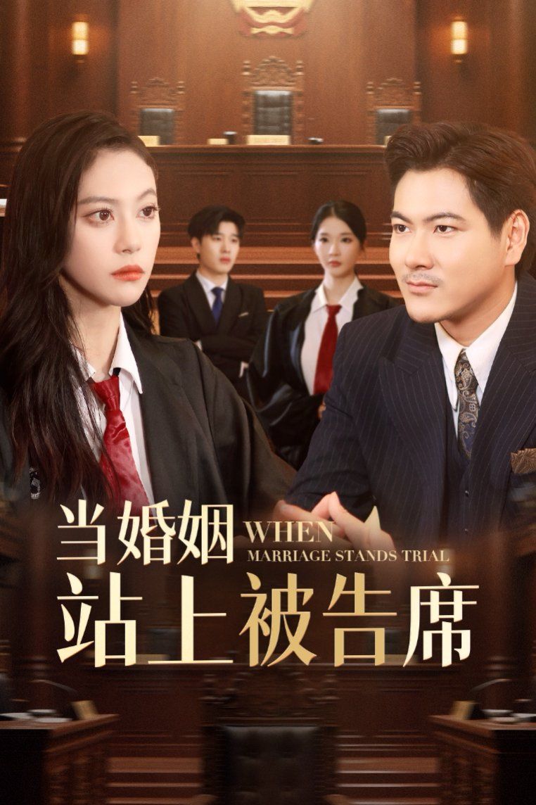 當婚姻站上被告席(全集)