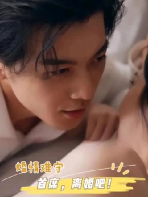 婚情難守：首席，離婚吧(全集)