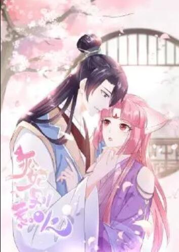 狐妃，別惹火