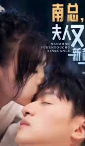 南總，夫人又出新款了(全集)