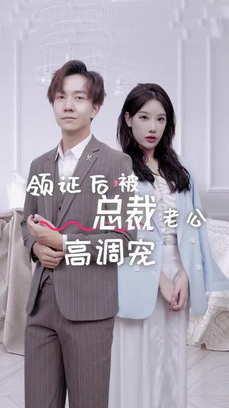 領證后，被總裁老公高調寵(全集)