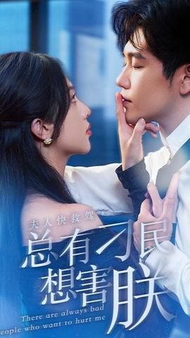 夫人快救駕，總有刁民想害朕(全集)