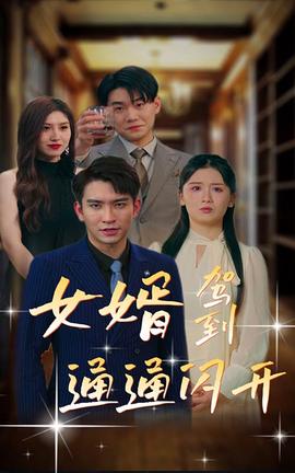 女婿駕到，通通閃開(全集)