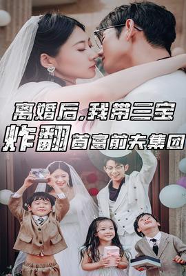 離婚后，我?guī)龑氄ǚ赘磺胺蚣瘓F(全集)