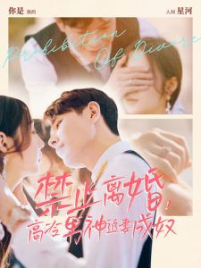 禁止離婚，高冷男神追妻成奴(全集)