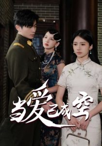 當(dāng)愛已成空(全集)