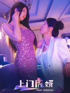 上門虎婿(全集)