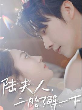 陸夫人，二胎了解一下(全集)