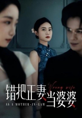 錯把正妻當(dāng)婆婆(全集)