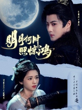 明月何時(shí)照驚鴻(全集)