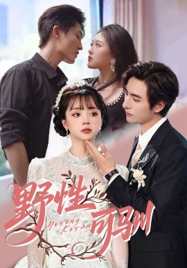 野性可馴(全集)