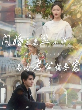 閃婚孕妻逃不掉，高冷老公偏要寵(全集)