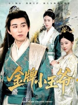 金牌小王爺(全集)