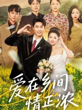 愛在鄉(xiāng)間情正濃(全集)