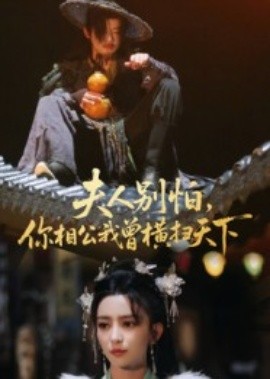 夫人別怕，你相公我曾橫掃天下(全集)