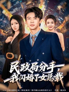 民政局分手，我閃婚了女總裁(全集)