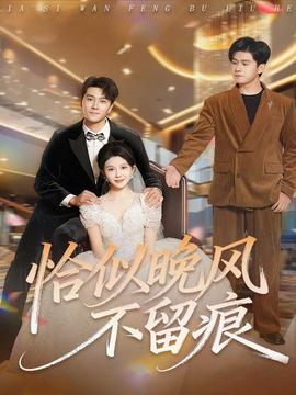 恰似晚風不留痕(全集)