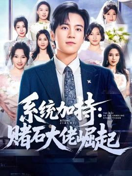 統(tǒng)加持：賭石大佬崛起(全集)