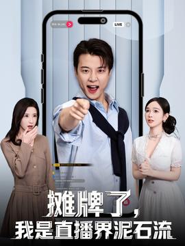 攤牌了，我是直播界泥石流(全集)