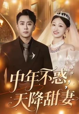 中年不惑，天降甜妻(全集)