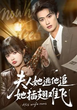 夫人她逃他追，她插翅難飛(全集)