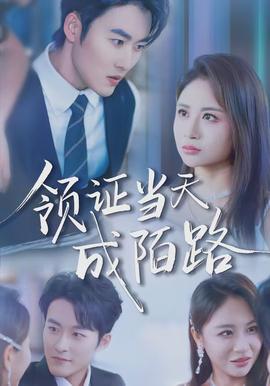 領(lǐng)證當天成陌路(全集)