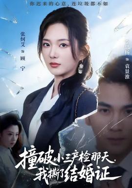 撞破小三產(chǎn)檢那天，我撕了結(jié)婚證(全集)