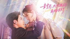 封總，太太跟你離婚很久了(全集)