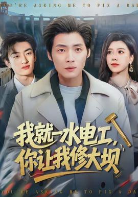 我就一水電工，你讓我修大壩(全集)