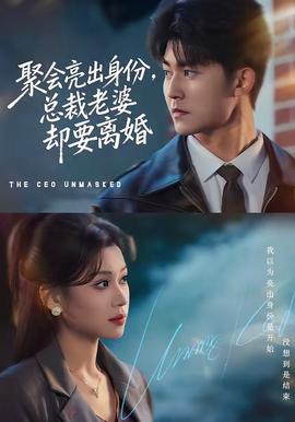 聚會(huì)亮出身份，總裁老婆卻要離婚(全集)