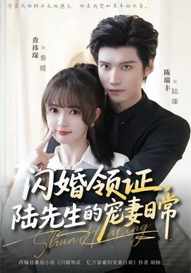 閃婚領(lǐng)證，陸先生的寵妻日常(全集)